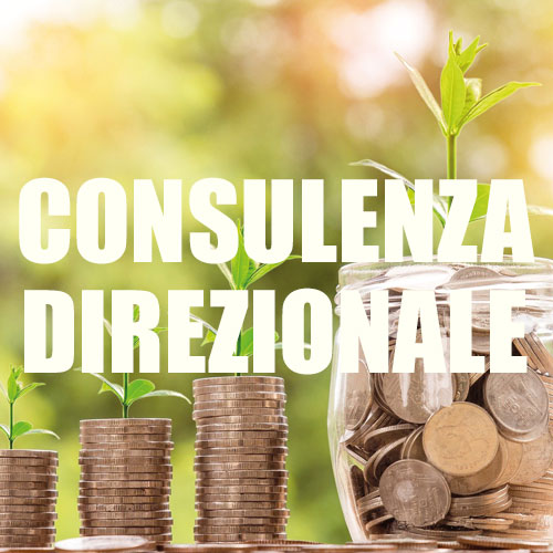 consulenza dir
